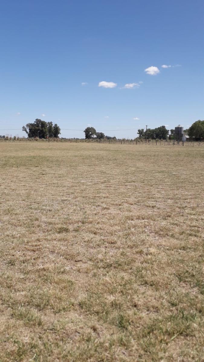 ruta 205 · Cañuelas — foto 13