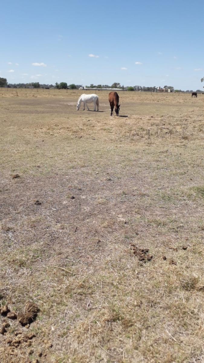 ruta 205 · Cañuelas — foto 14