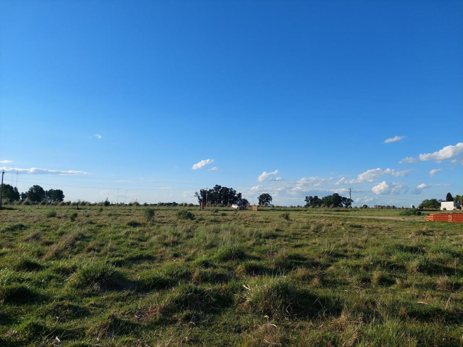 ruta 205 · Cañuelas — foto 4