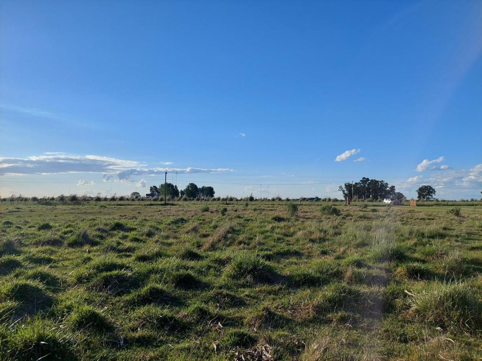 ruta 205 · Cañuelas — foto 5