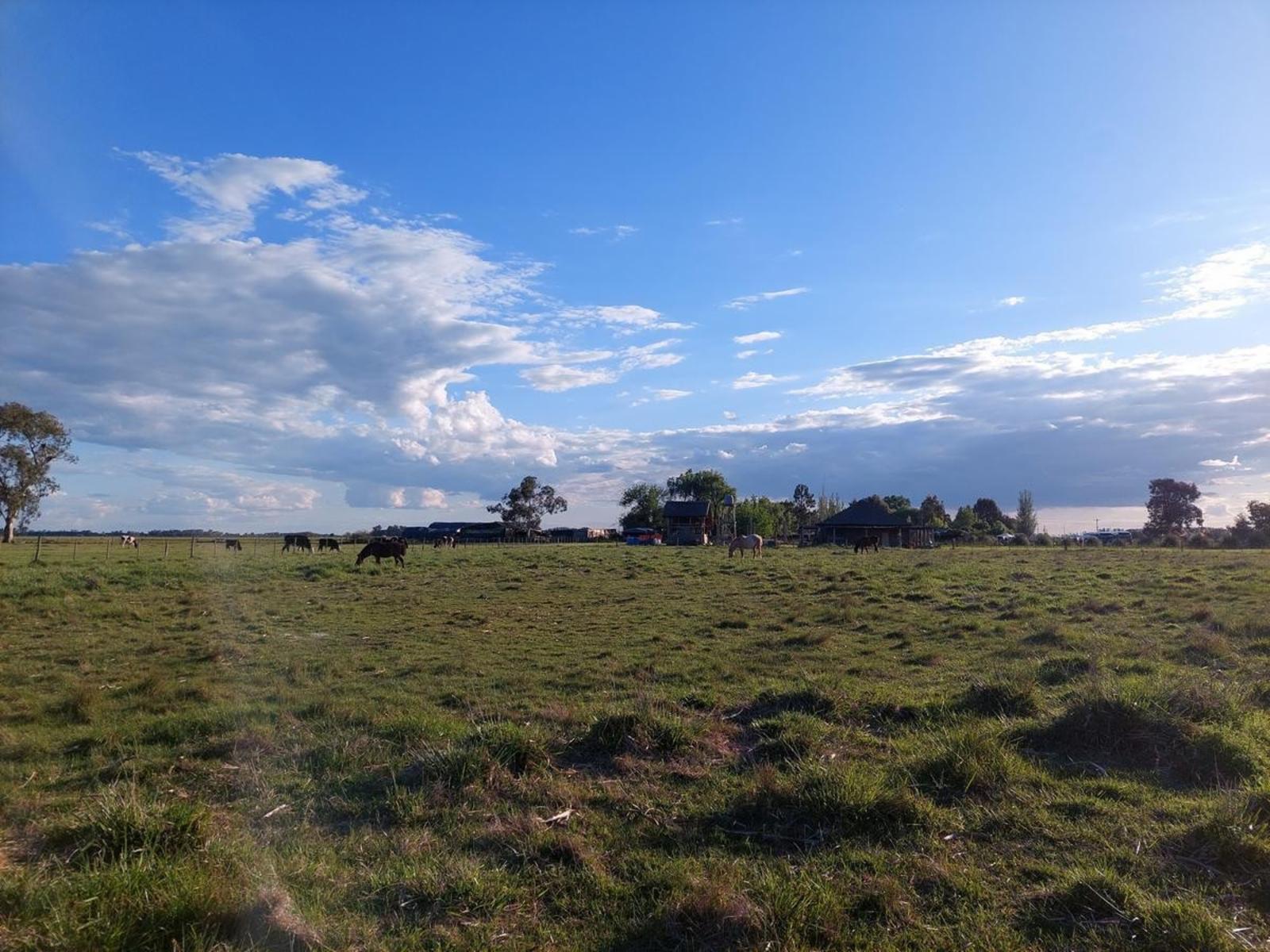 ruta 205 · Cañuelas — foto 6