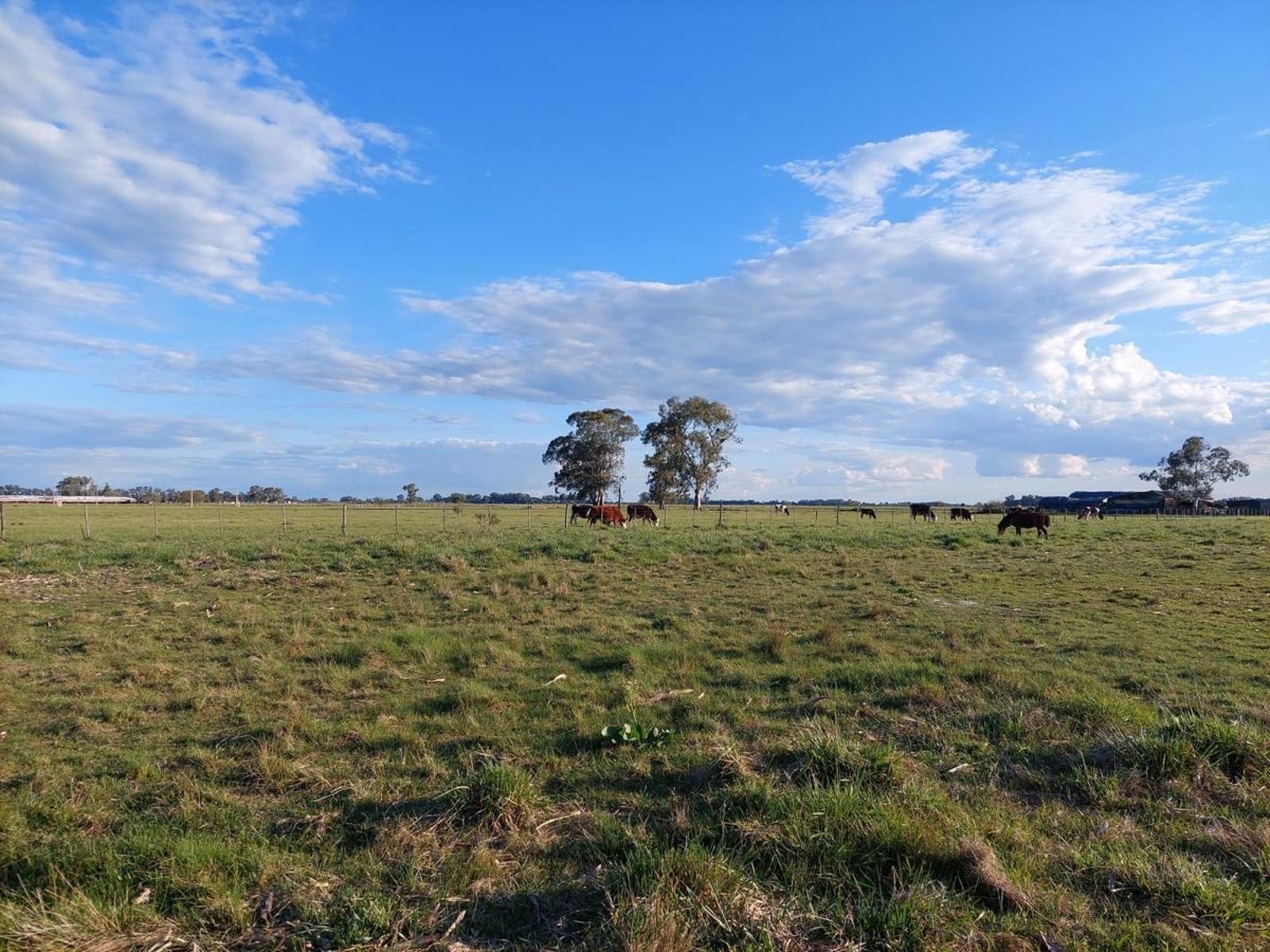 ruta 205 · Cañuelas — foto 7