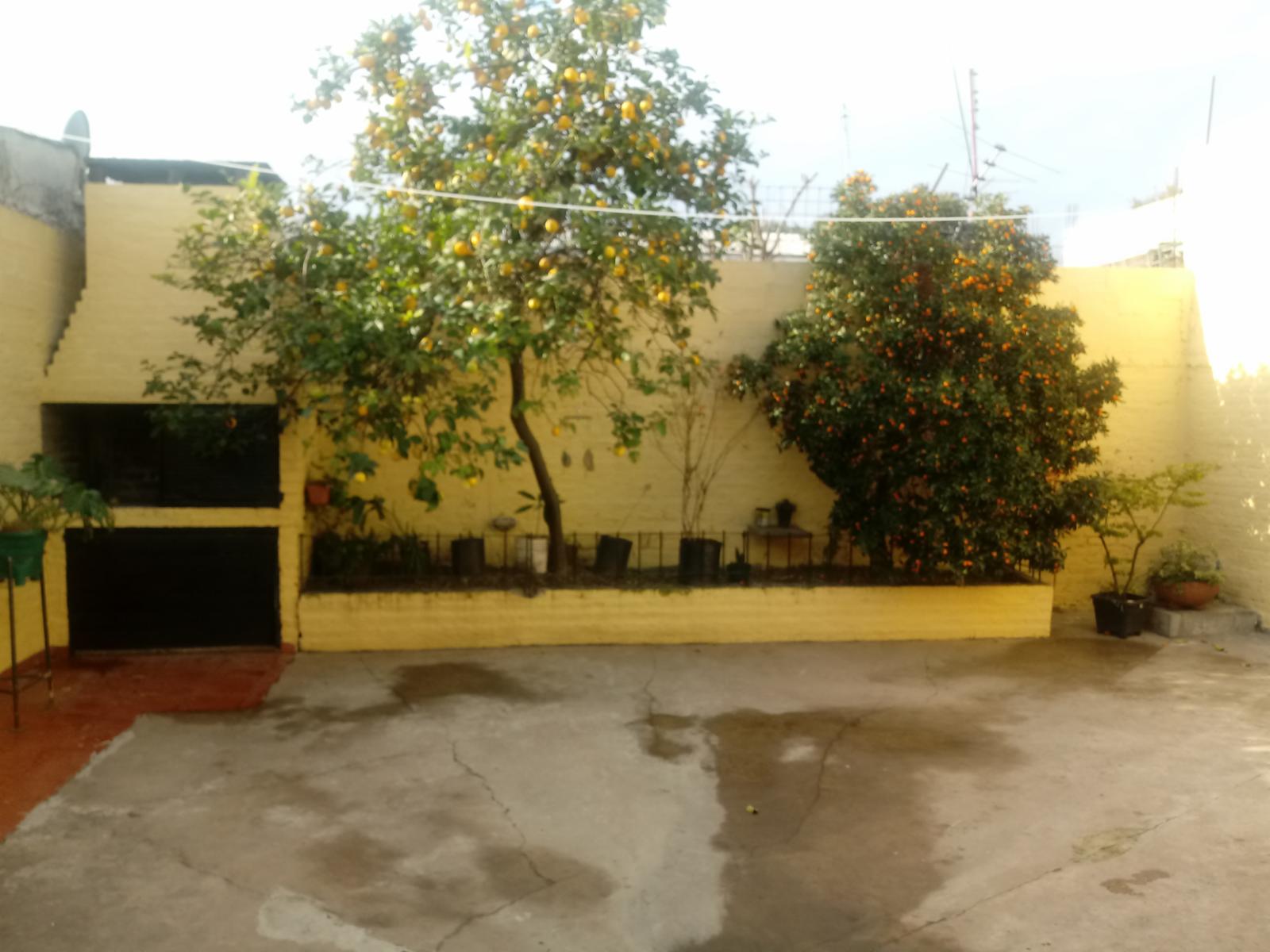 Pingles 4300 · San Martín — foto 13