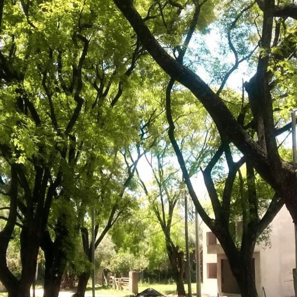 Rincon de Rio · Uruguay — foto 5