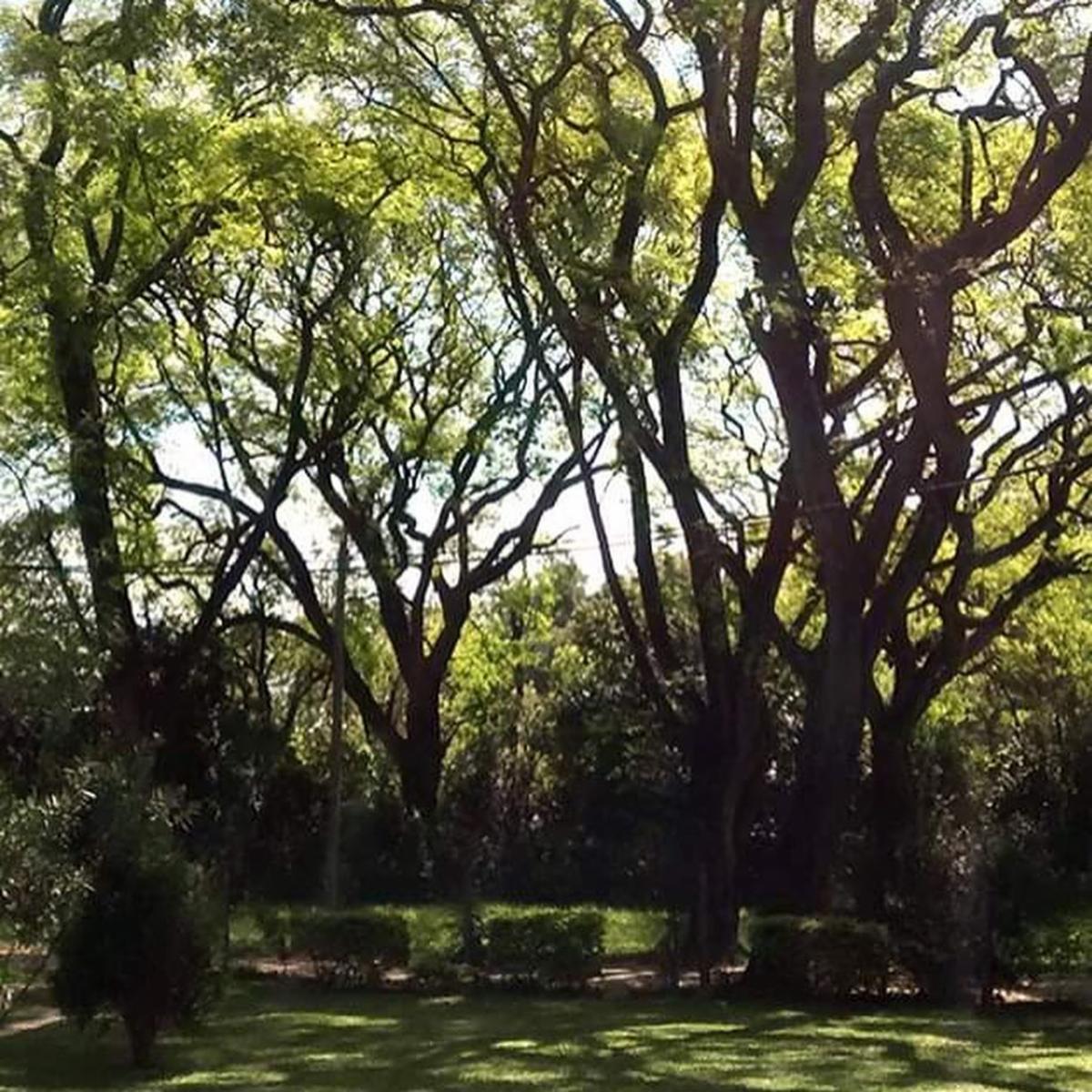 Rincon de Rio · Uruguay — foto 8