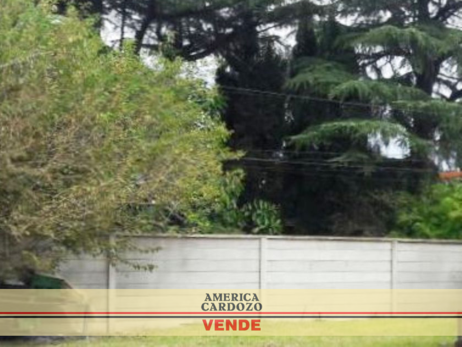 LACARRA Y SALVADOR MARIA DEL CARRIL · Moreno — foto 4