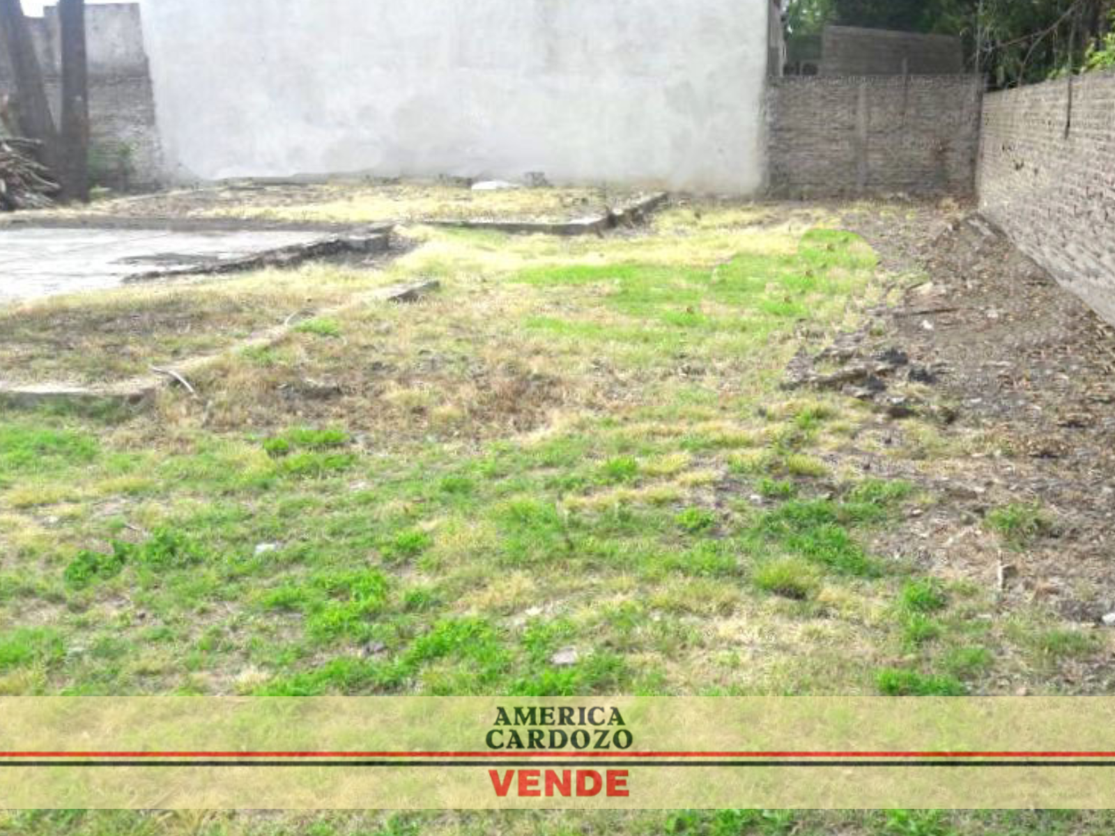 LACARRA Y SALVADOR MARIA DEL CARRIL · Moreno — foto 6