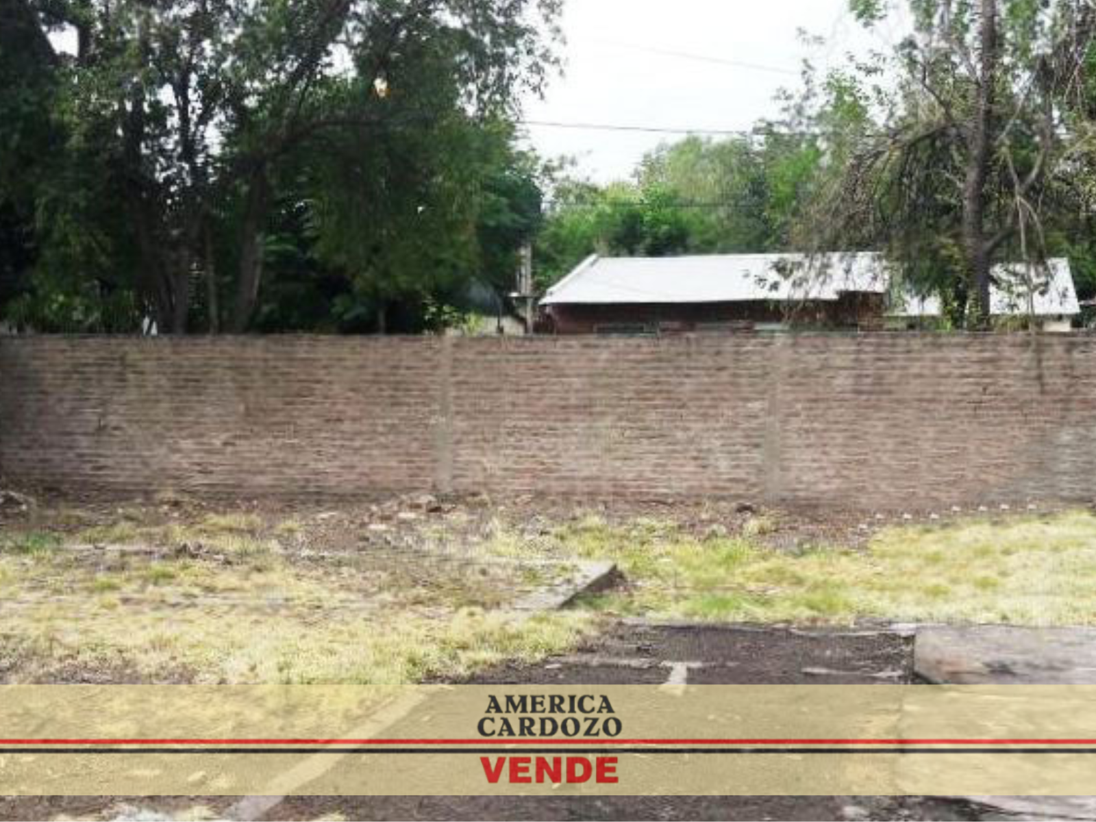 LACARRA Y SALVADOR MARIA DEL CARRIL · Moreno — foto 7