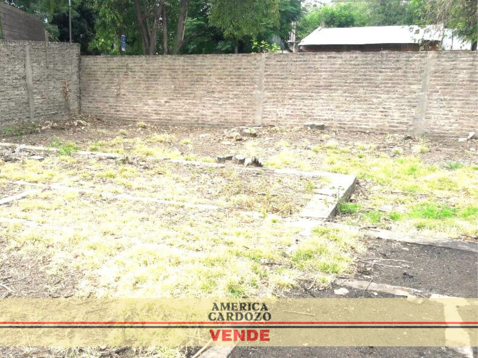 LACARRA Y SALVADOR MARIA DEL CARRIL · Moreno — foto 8