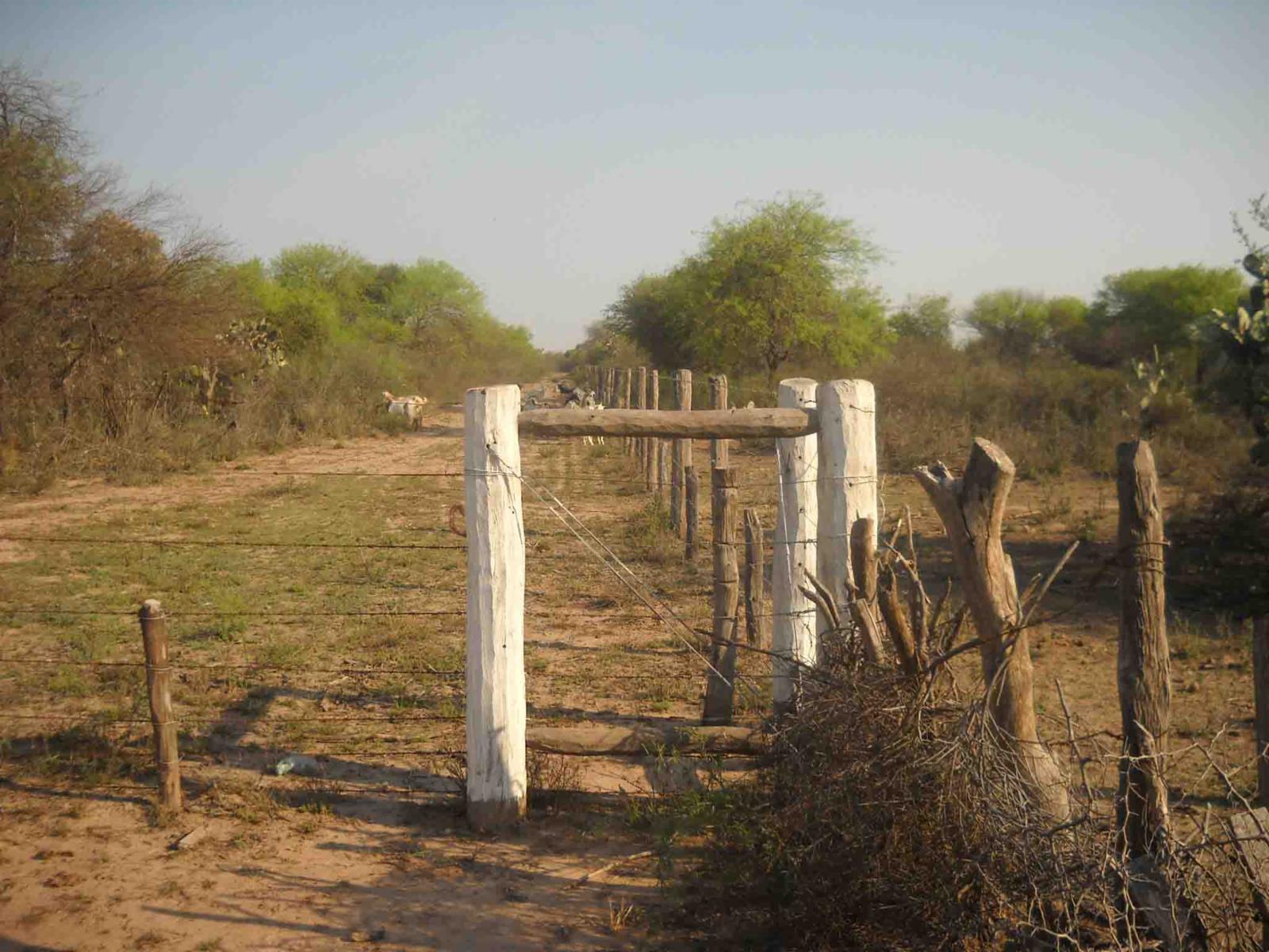 CAMPO DE 270 Ha. EN VENTA EN SANTIAGO DEL ESTERO, LOCALIDAD DE AÑATUYA, TODO TIPO DE AGRICULTURA