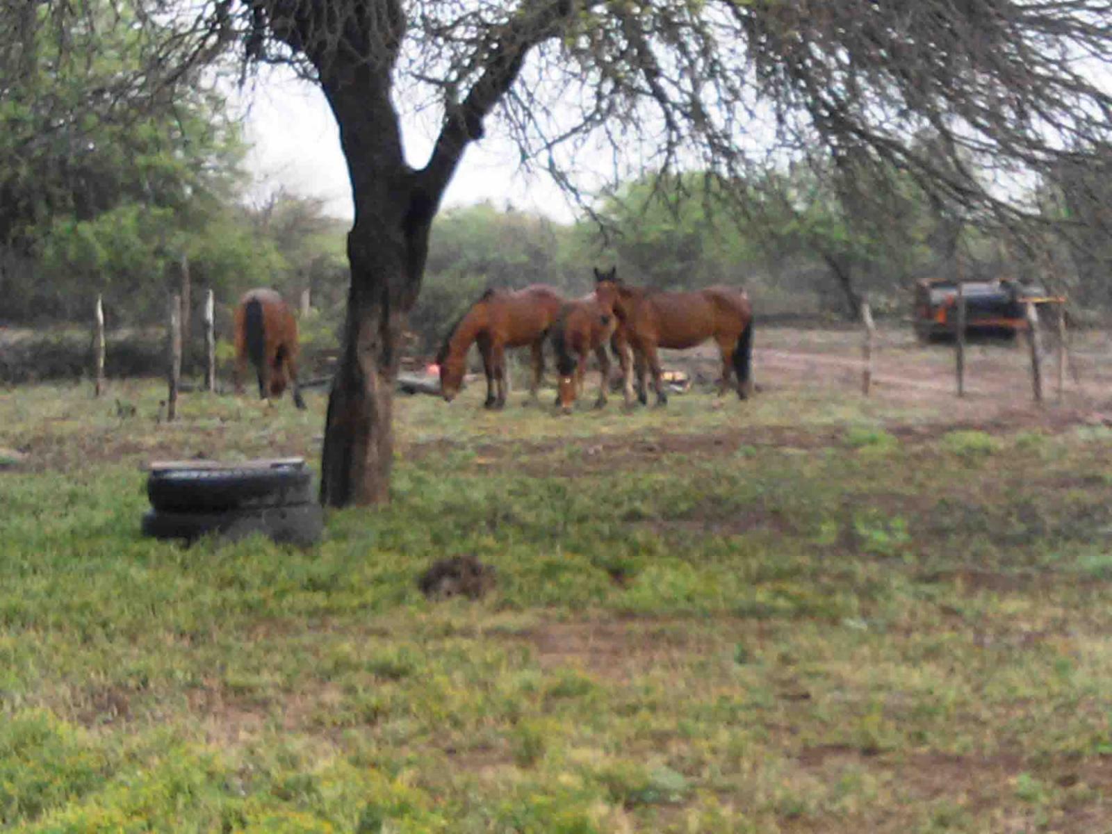 AÑATUYA · Gral. Taboada — foto 12