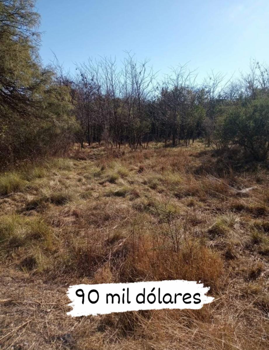 PIEDRA BLANCA · Junín — foto 4