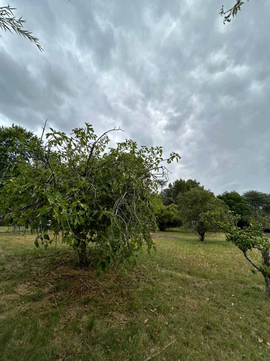 Bº Mendizabal · Brandsen — foto 6