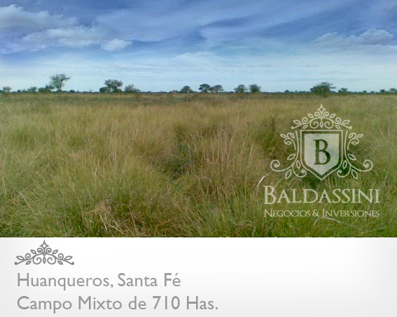 CAMPO DE 710 HAS. EN HUANQUEROS - SANTA FE · San Cristóbal — foto 3