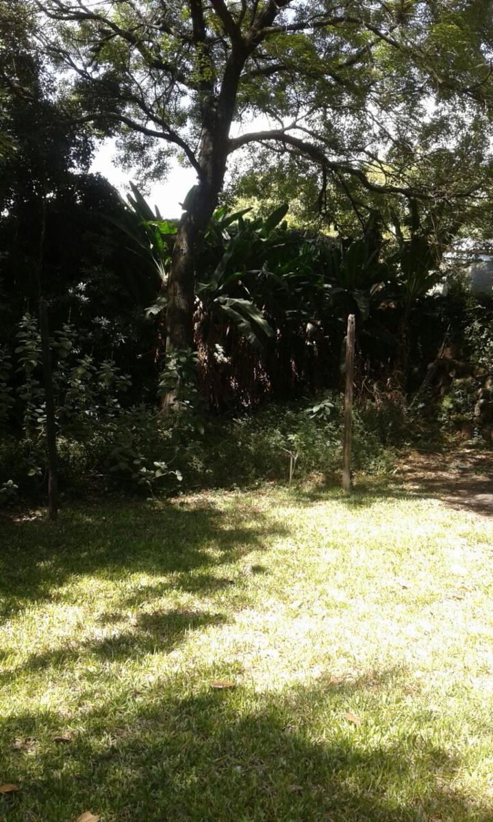 Rosales 1218 · Almirante Brown — foto 21