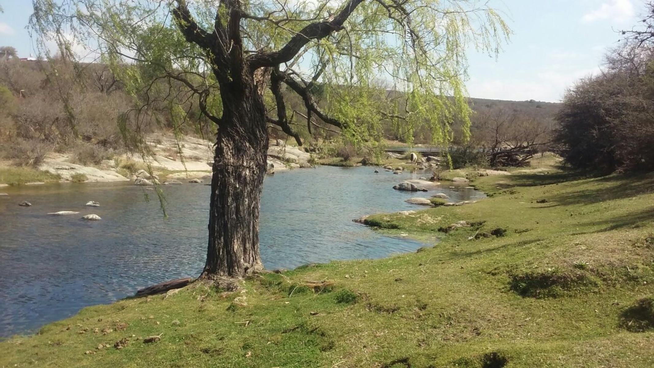 Los Alpeninos · Punilla — foto 3