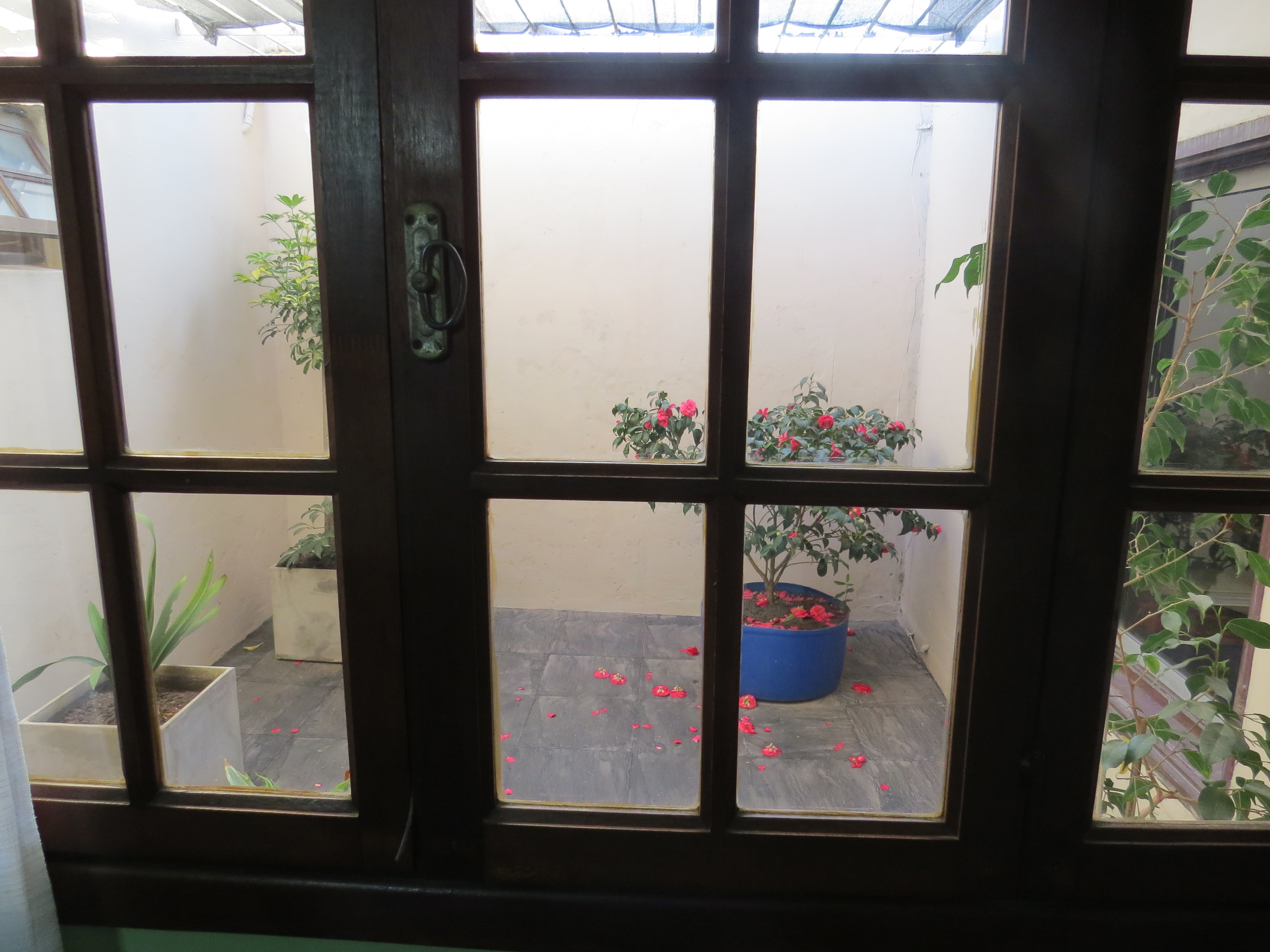 VENDO EXCEPCIONAL CASA ( CALLE 54 Y 75) ZONA TOLEDO NECOCHEA · Necochea — foto 29