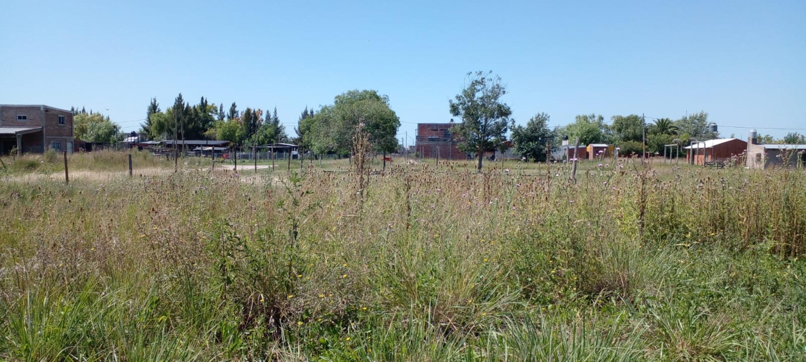 Rodolfo de la Colina · Brandsen — foto 6