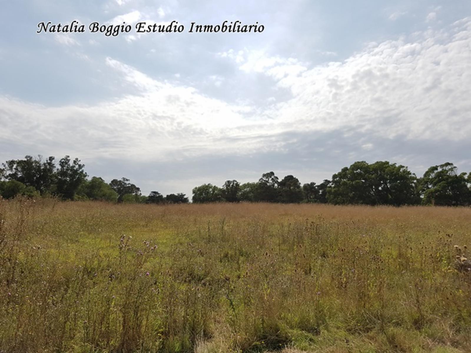 TUCUMAN ) · General Alvarado — foto 5