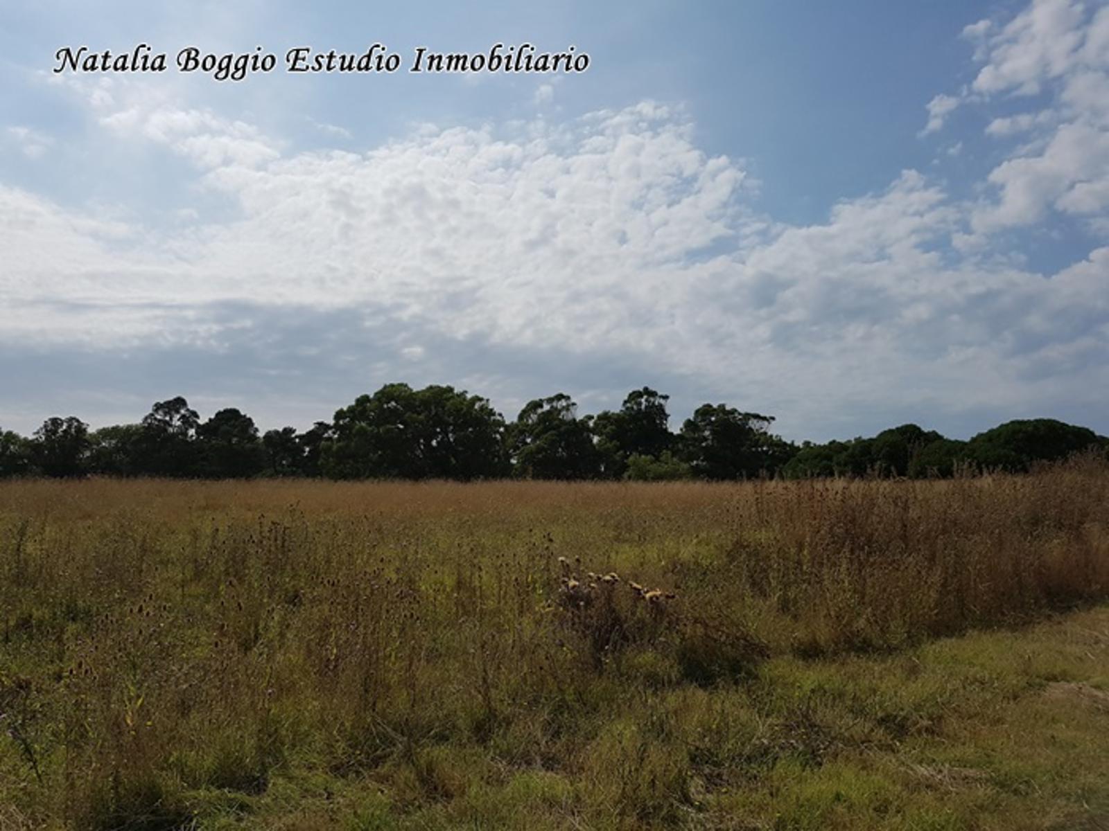 TUCUMAN ) · General Alvarado — foto 6