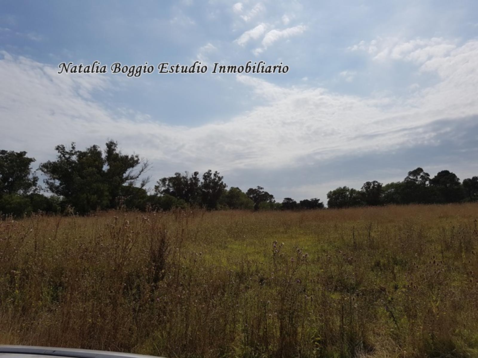 TUCUMAN ) · General Alvarado — foto 8