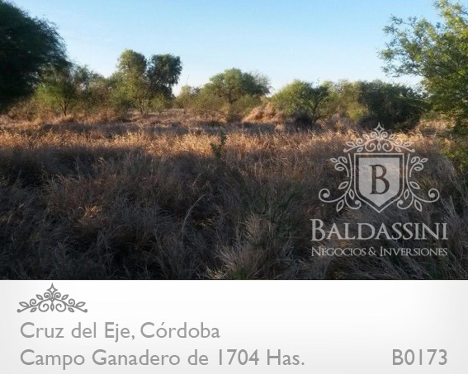 CAMPO GANADERO  DE 1704 HAS EN SERREZUELA, CRUZ DEL EJE, CÓRDOBA  COMPLETAMENTE ARMADO. PEGADO AL PUEBLO SOBRE RUTA 38.