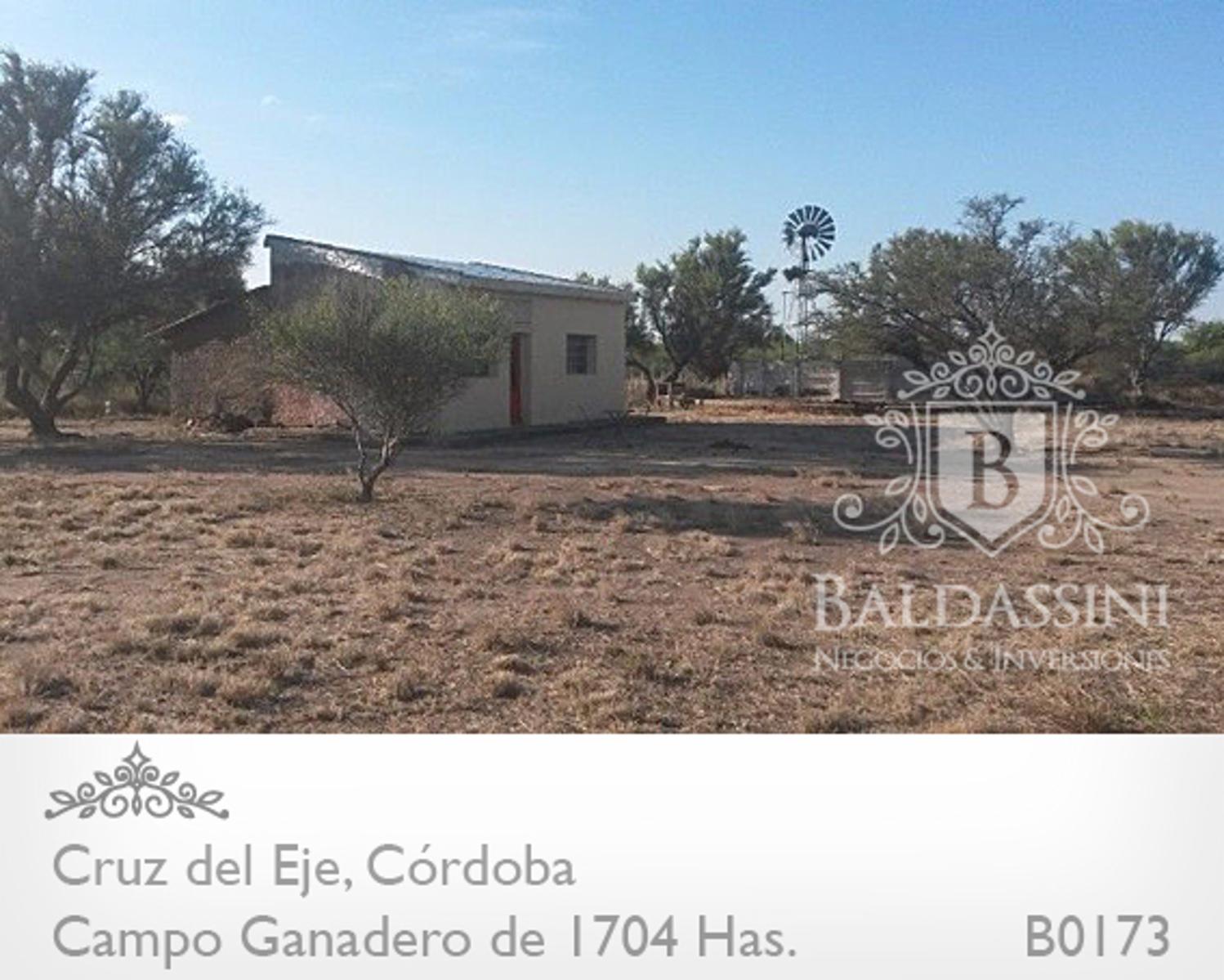 CAMPO DE 1704 HAS EN SERREZUELLA SOBRE RUTA 38 - BUENAS MEJORAS - AGUA MINERAL · Cruz del Eje — foto 3