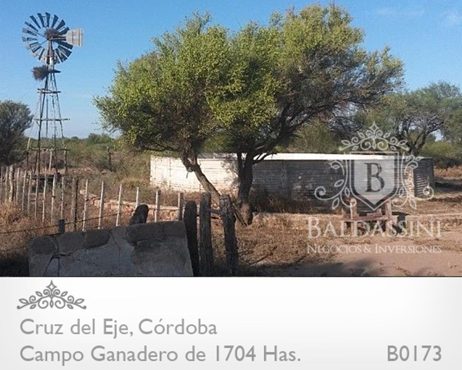 CAMPO DE 1704 HAS EN SERREZUELLA SOBRE RUTA 38 - BUENAS MEJORAS - AGUA MINERAL · Cruz del Eje — foto 4