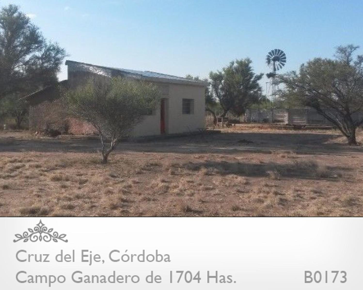 CAMPO DE 1704 HAS EN SERREZUELLA SOBRE RUTA 38 - BUENAS MEJORAS - AGUA MINERAL · Cruz del Eje — foto 5