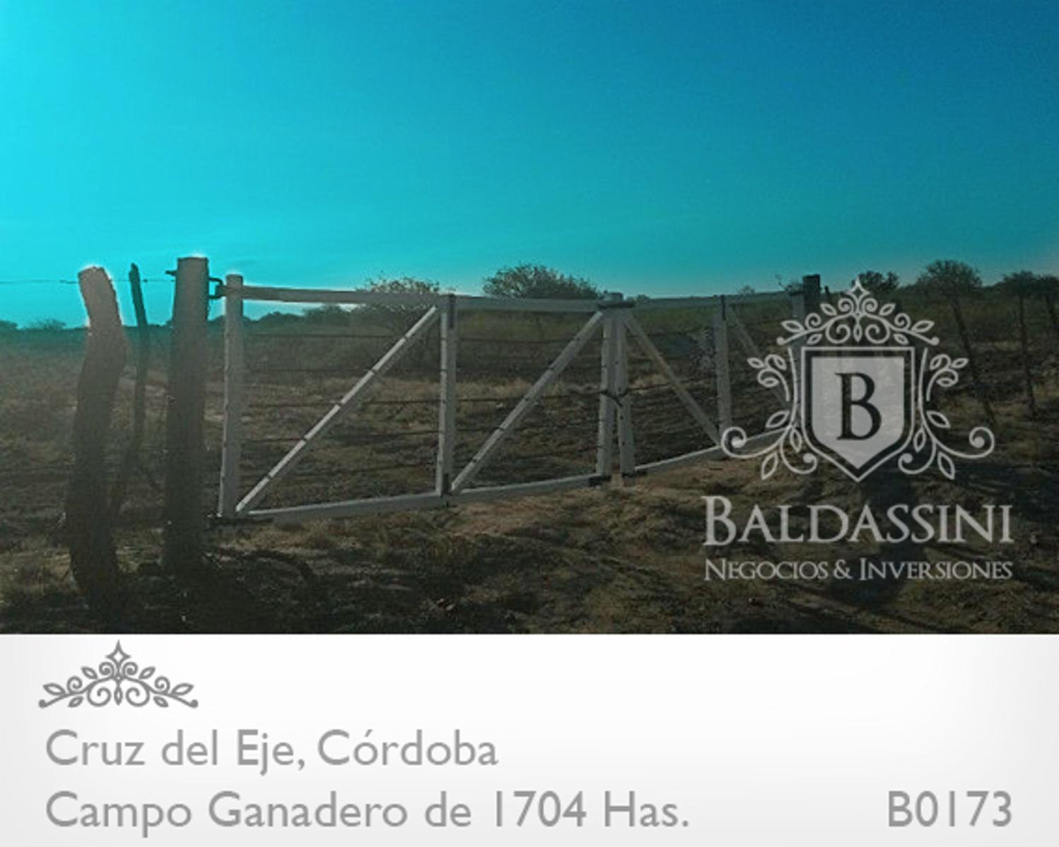 CAMPO DE 1704 HAS EN SERREZUELLA SOBRE RUTA 38 - BUENAS MEJORAS - AGUA MINERAL · Cruz del Eje — foto 6