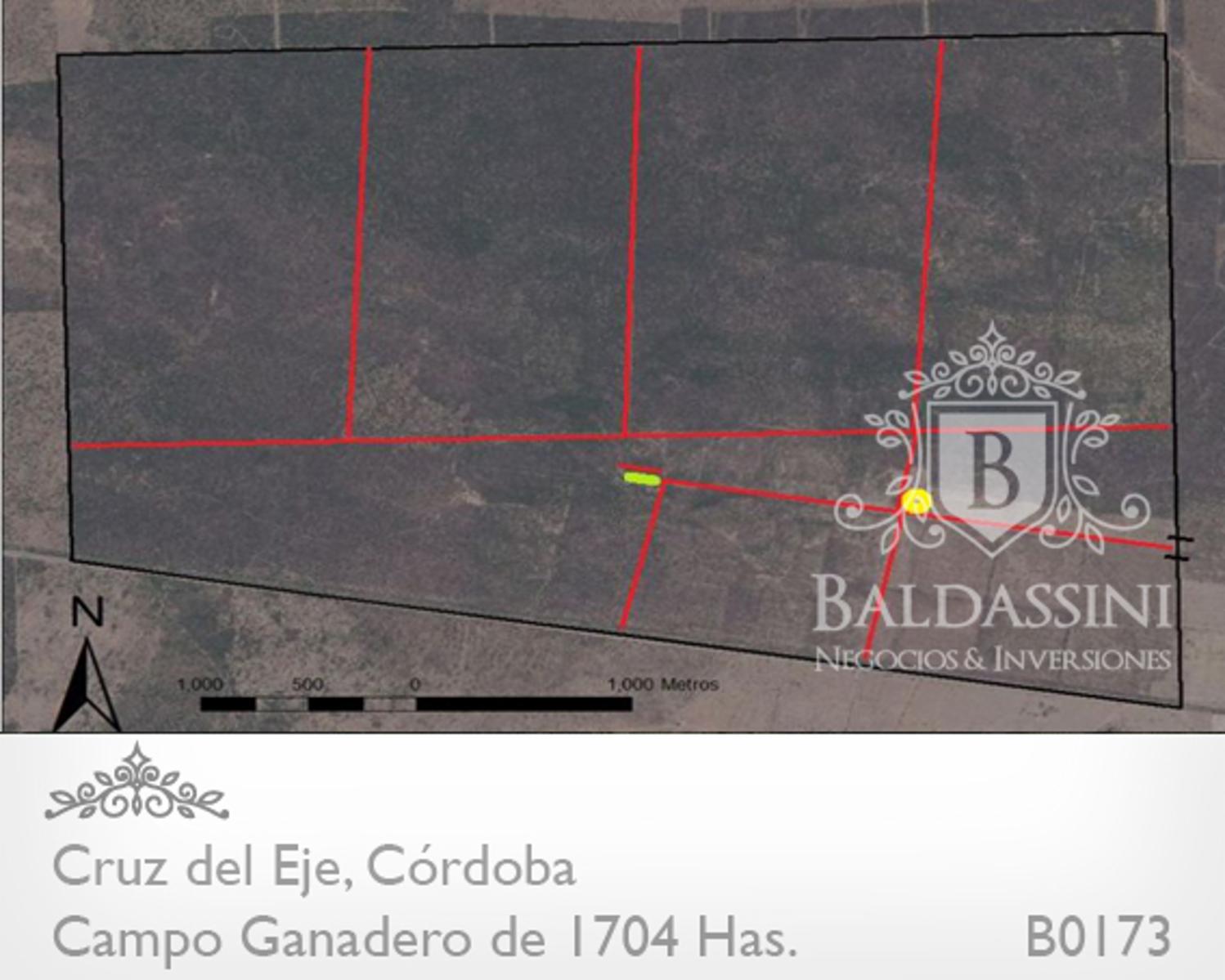 CAMPO DE 1704 HAS EN SERREZUELLA SOBRE RUTA 38 - BUENAS MEJORAS - AGUA MINERAL · Cruz del Eje — foto 8