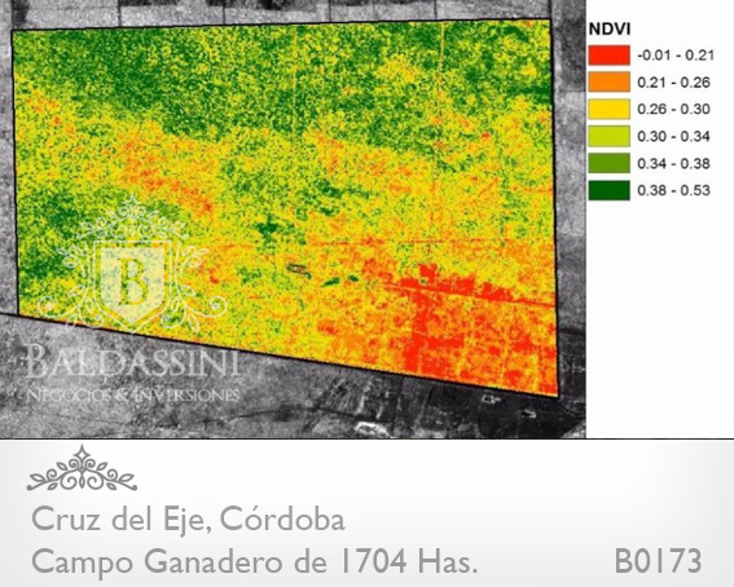 CAMPO DE 1704 HAS EN SERREZUELLA SOBRE RUTA 38 - BUENAS MEJORAS - AGUA MINERAL · Cruz del Eje — foto 9