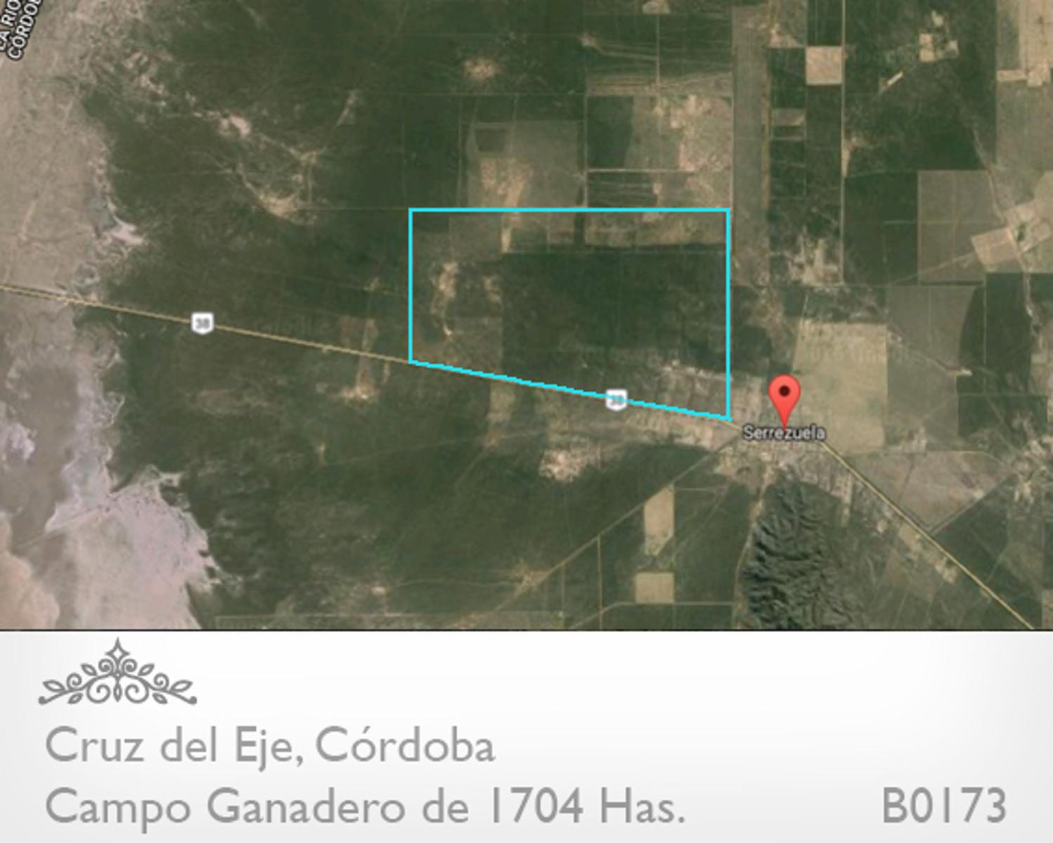 CAMPO DE 1704 HAS EN SERREZUELLA SOBRE RUTA 38 - BUENAS MEJORAS - AGUA MINERAL · Cruz del Eje — foto 10