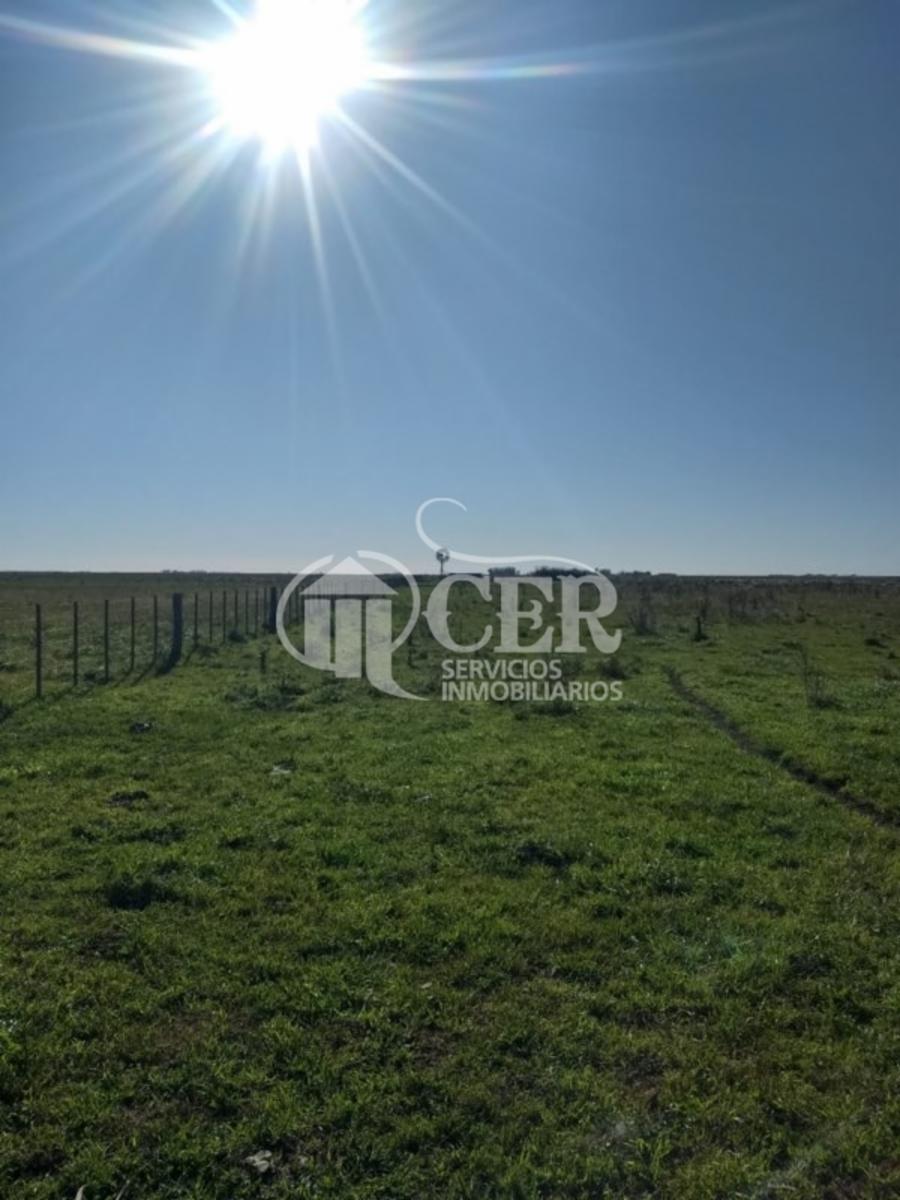 1.000 HECTÁREAS AGRÍCOLA-GANADERO AYA CUCHO