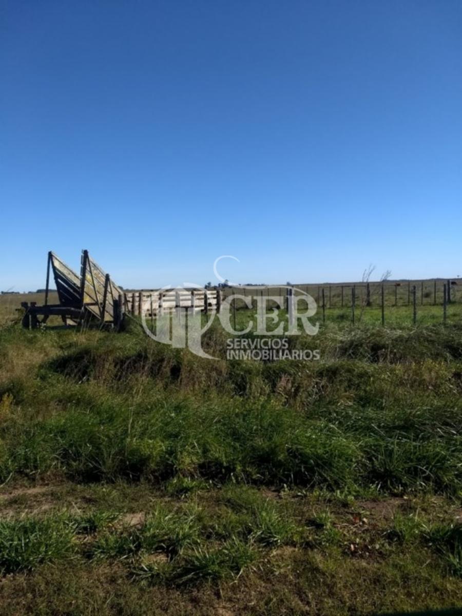 AYACUCHO · Balcarce — foto 12