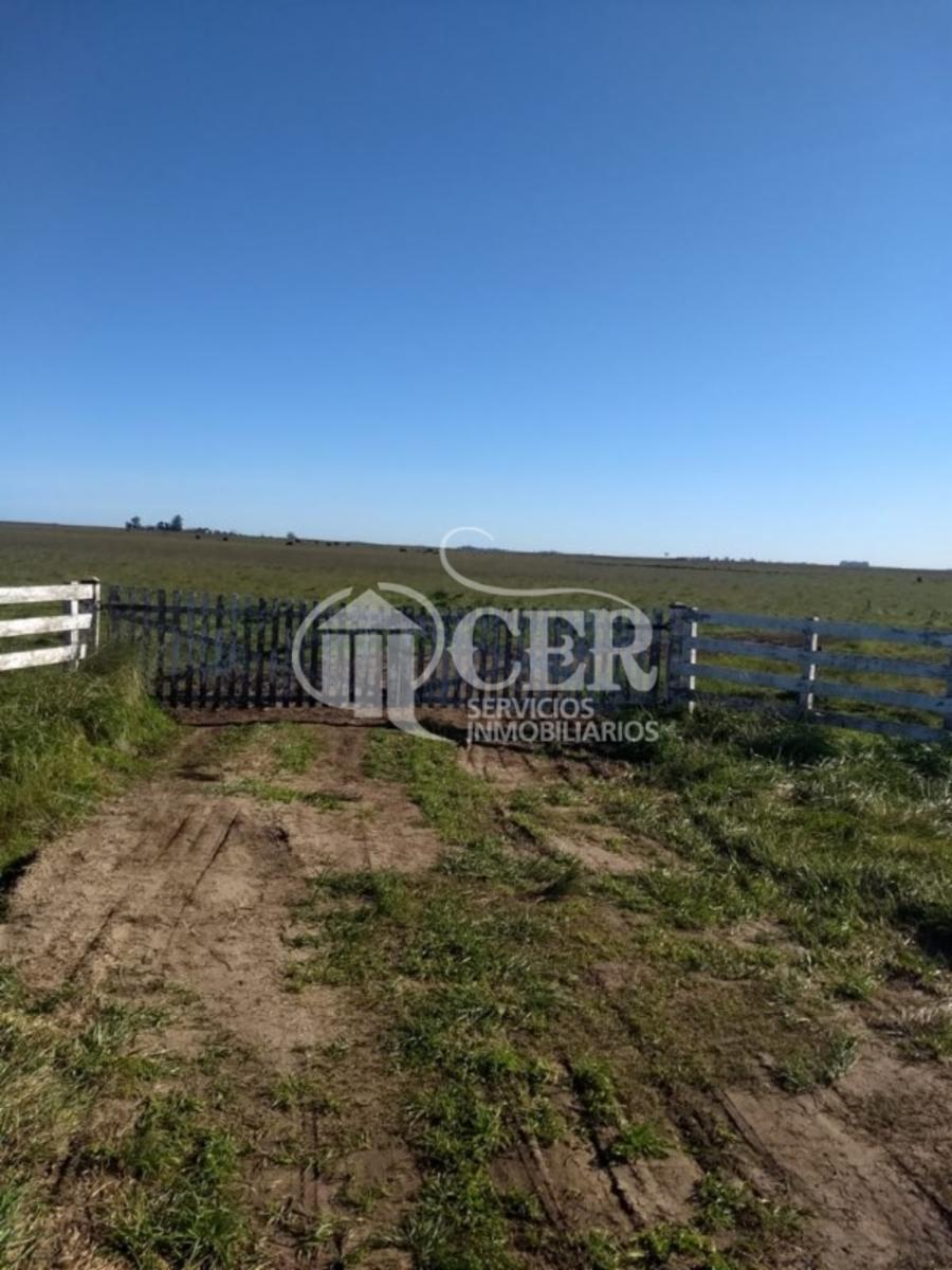 AYACUCHO · Balcarce — foto 14