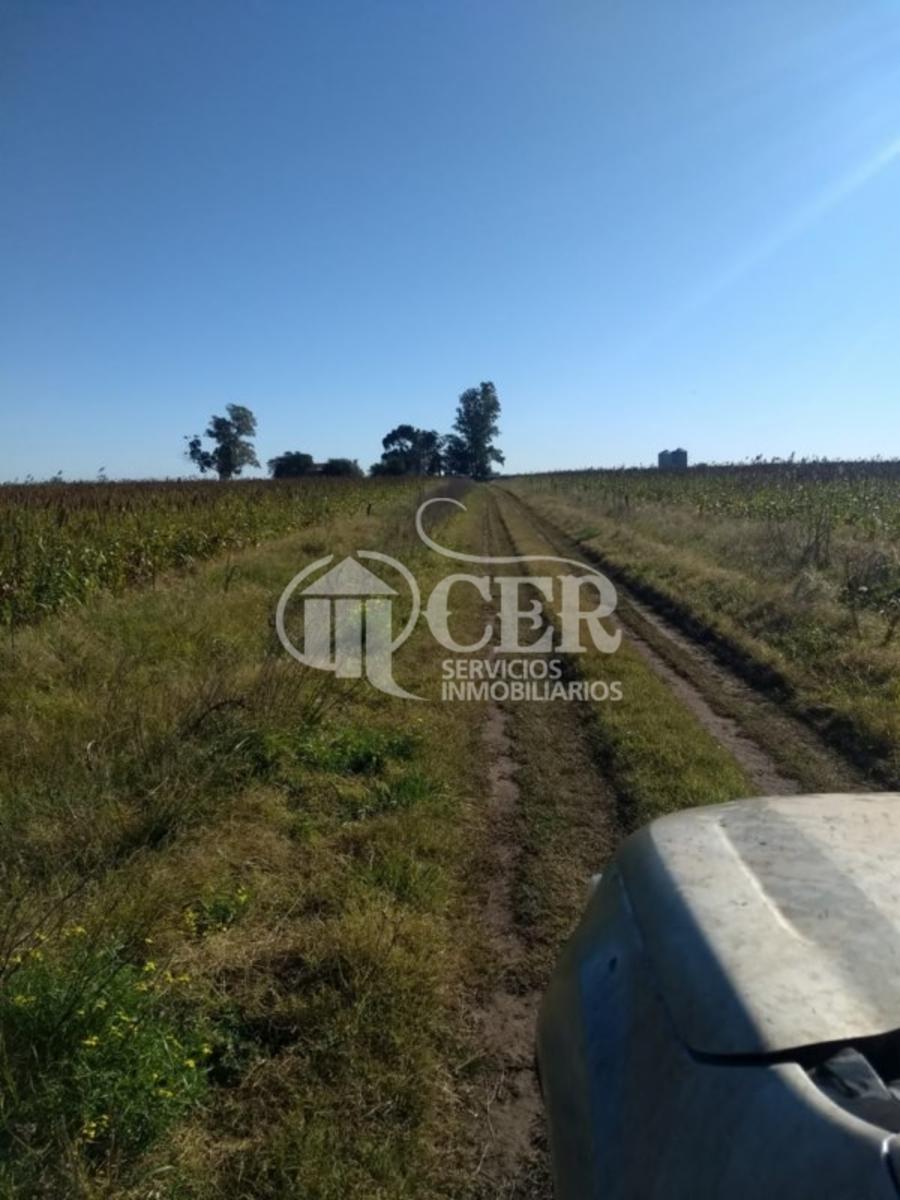 AYACUCHO · Balcarce — foto 4