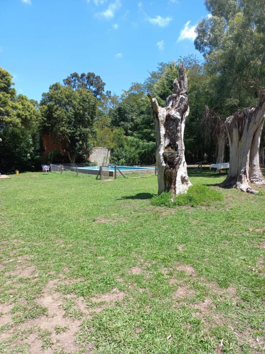 PUELCHES ESQUINA YAMANES · Brandsen — foto 12