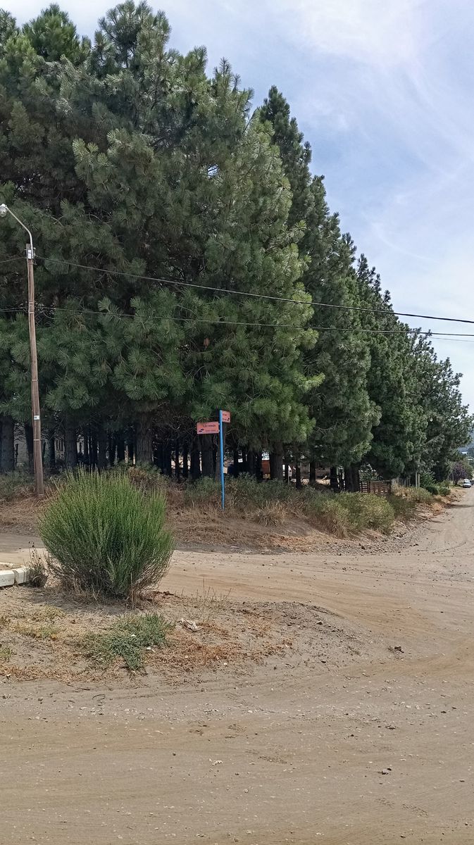 Los Pinos y Los Tilos esquina · Pilcaniyeu — foto 3