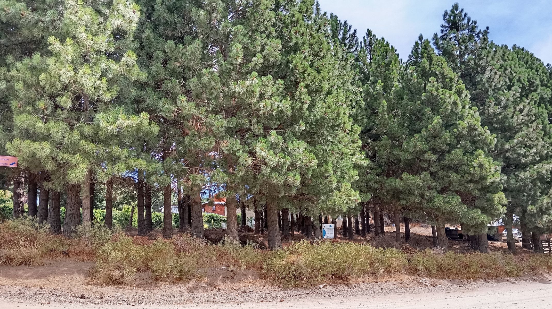 Los Pinos y Los Tilos esquina · Pilcaniyeu — foto 4