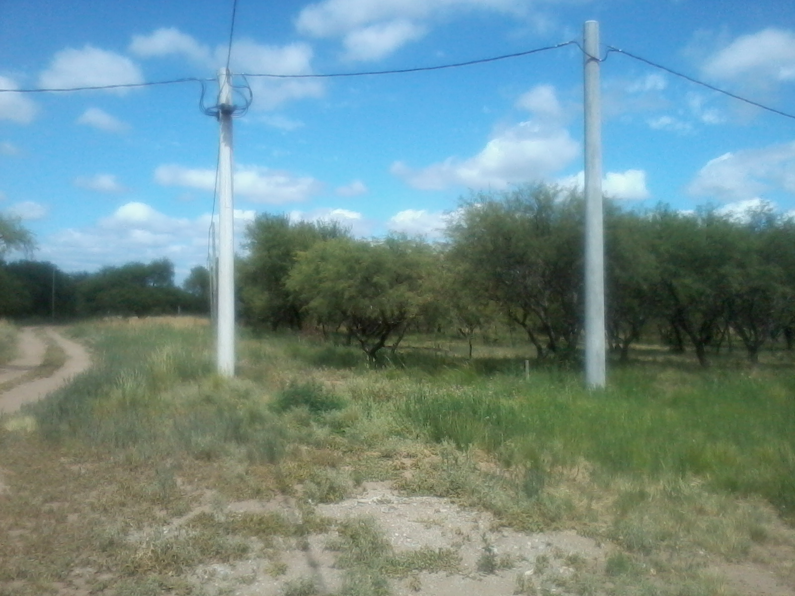 LOTEO DESPERTAR DEL VALLE · Junín — foto 3