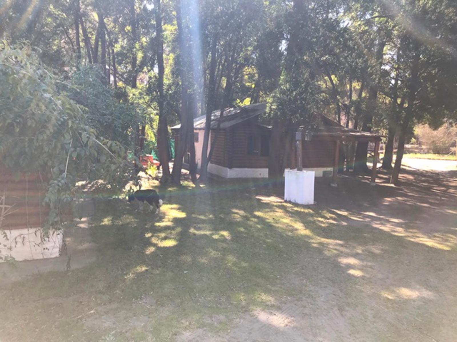 Puleston 2775 · Monte Hermoso — foto 33