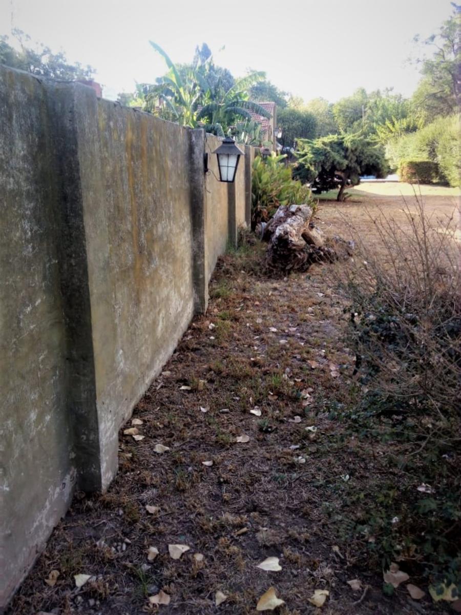 Caracas 1800 · José C. Paz — foto 5