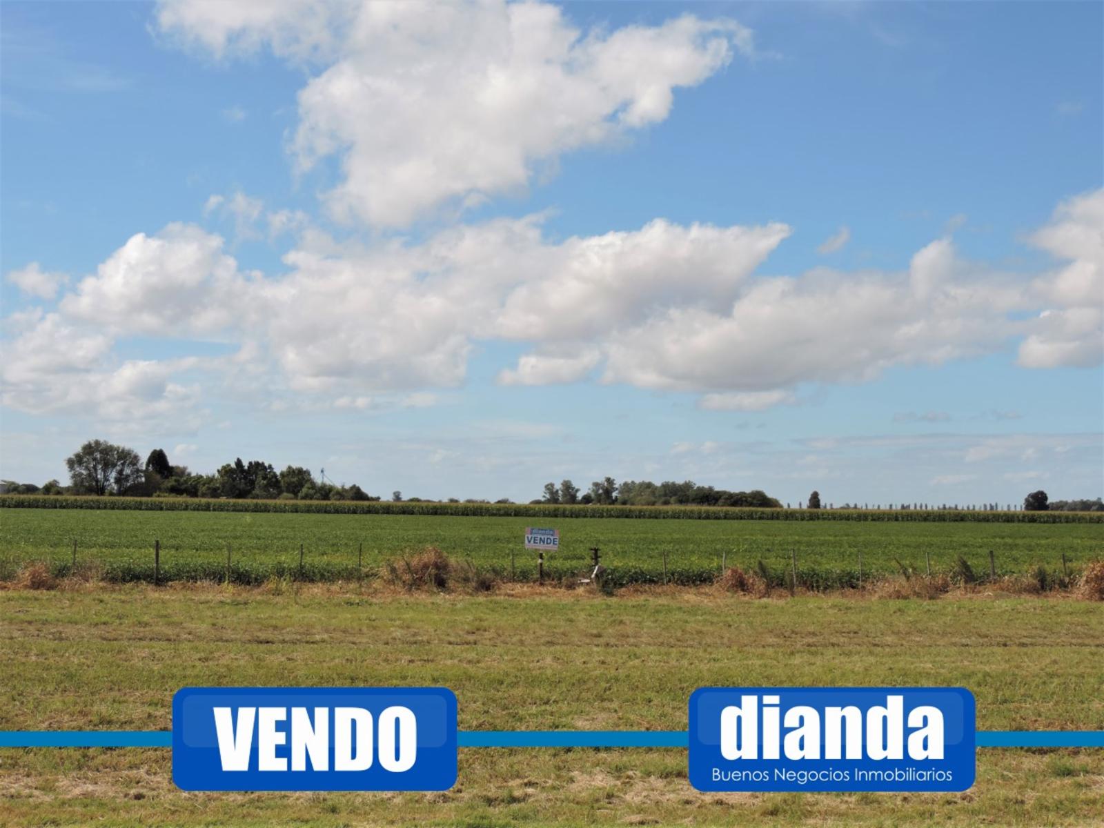 Venta 1,3 Hectáreas sobre Autopista Rosario Buenos Aires mano a Rosario