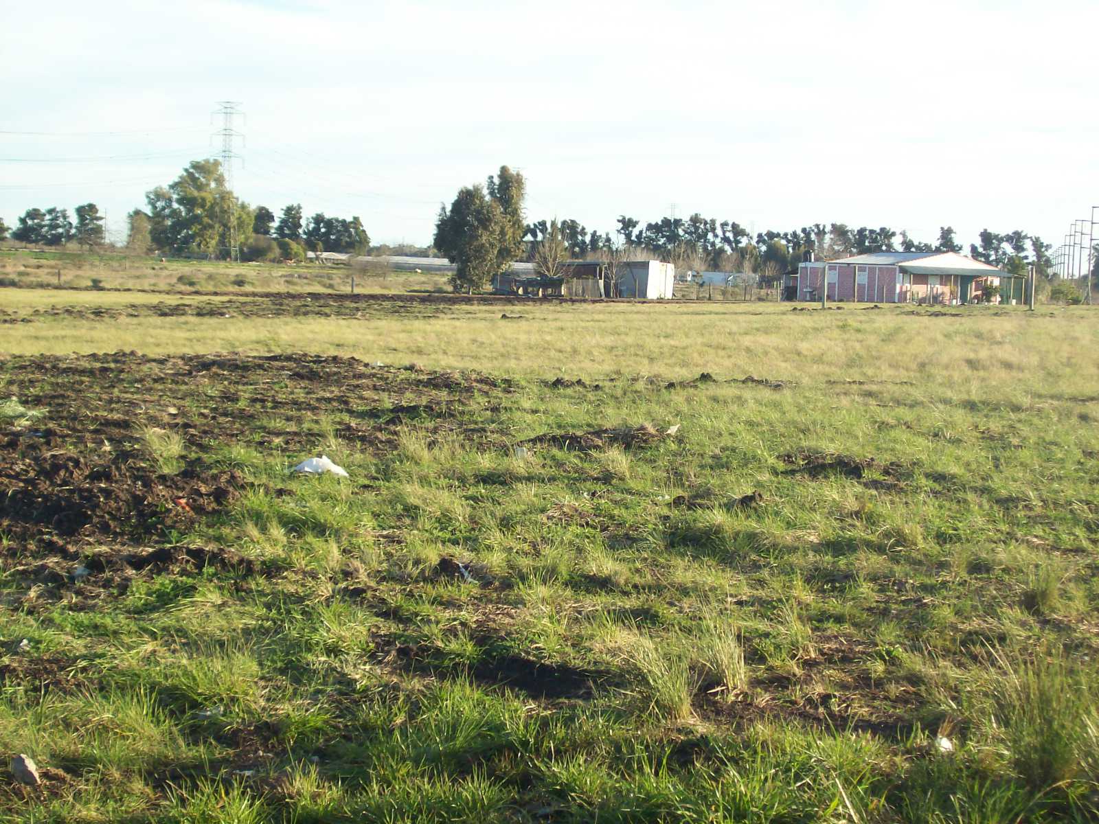 167 Y 526 · La Plata — foto 6