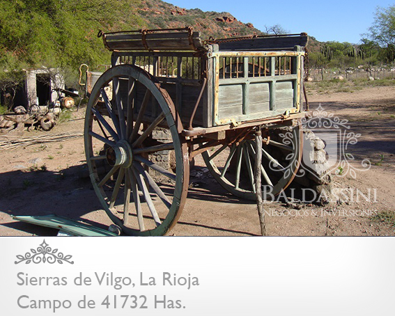 62500 HECTÁREAS EN SIERRAS DE VILGO - PATQUIA,  LA RIOJA - GRAN APTITUD / GANADERO / AGRÍCOLA / FORESTAL / TURÍSTICO . VARIAS VERTIENTES DE AGUA MINERAL.