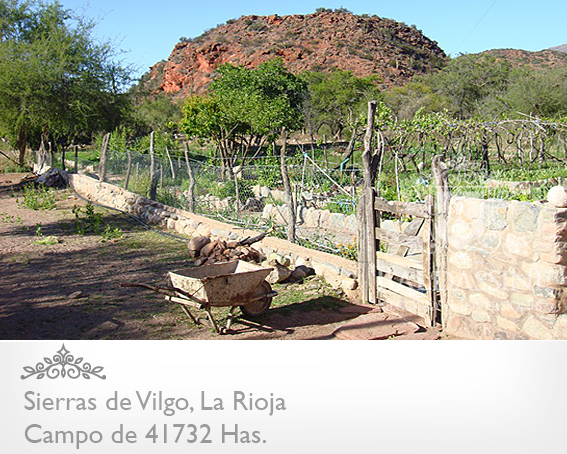 62500 HAS EN SIERRAS DE VILGO - RUTA 150 · Independencia — foto 8