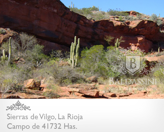 62500 HAS EN SIERRAS DE VILGO - RUTA 150 · Independencia — foto 9