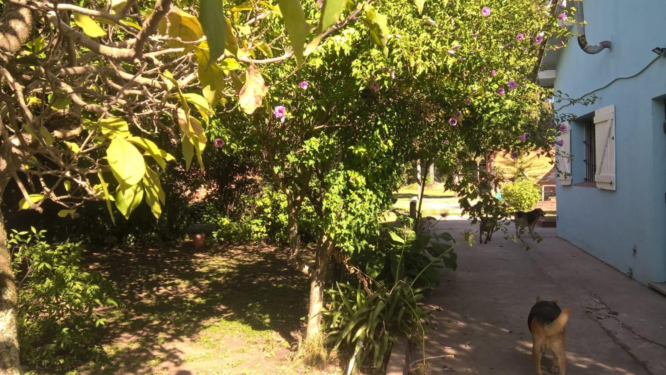 Belgrano al 2600 · Moreno — foto 3
