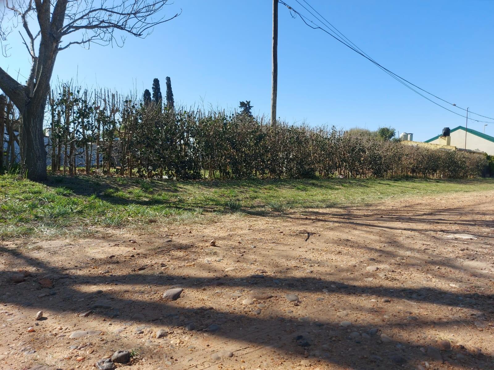 Ruta 12 · Paraná — foto 4